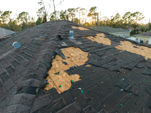 Best Roofing for New Construction  in USA